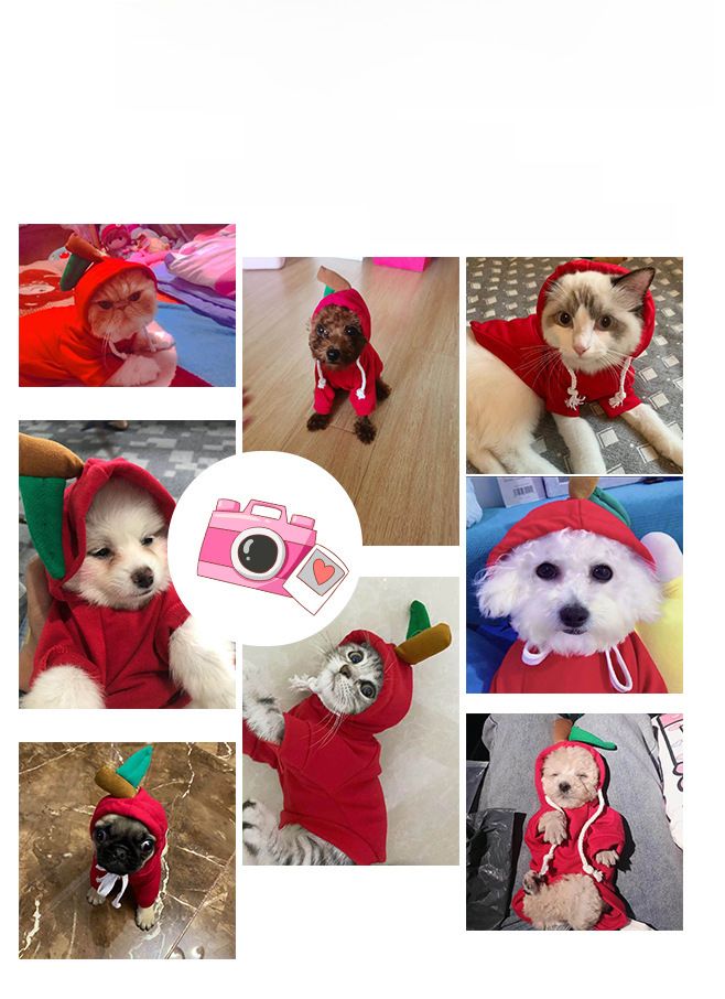 Trasformazione della frutta cane gatto cane di piccola e media taglia autunno e inverno gilet pile abbigliamento forniture pet Teddy metodo secchio produttori_voghion.com