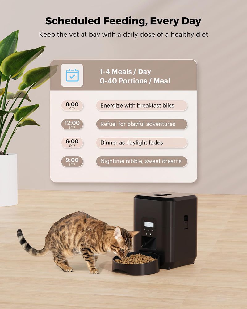 Neutral English Pet Intelligent 2L Dog Feeding Machine WIFI Timer per cibo per gatti Funzione di memoria_voghion.com