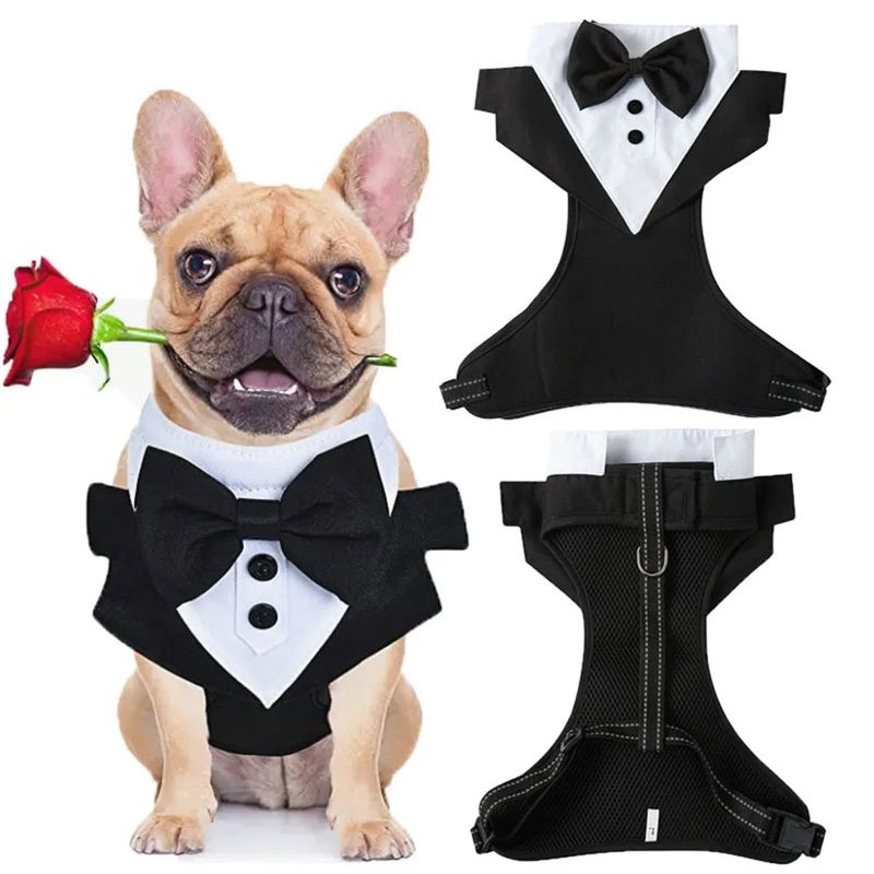 Costume da smoking per cani, camicia formale, abito da cerimonia per cani, giacca nera, abito da cucciolo, principe, abito con papillon, gilet per cani di piccola taglia e gatto._voghion.com