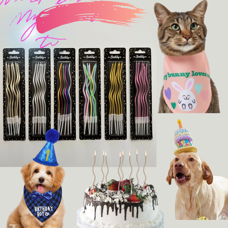 20set/6/12buc Lumânări de ziua de naștere pentru animale de companie/câine pisică Lumânări spiralate pentru tort Lumânări lungi și subțiri pentru tort pentru petrecere de nuntă și decorare tort_voghion.com