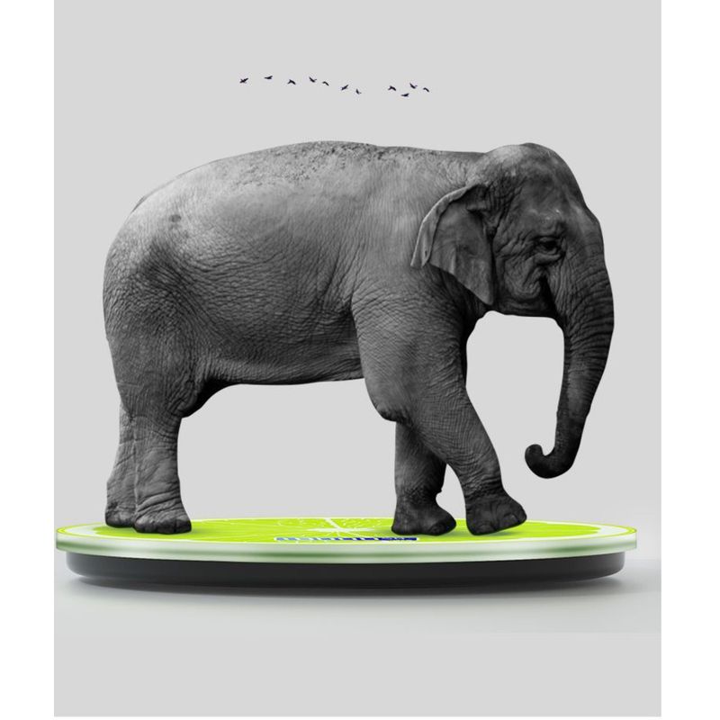 Electronic Body Home Use, Suitable For Students And Adults, Women's Weight Loss, Accurate High Precision Scale_voghion.com