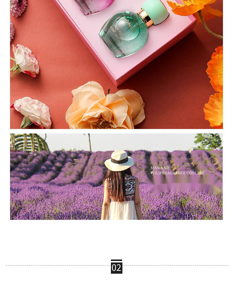 Neues Parfüm Beliebtes Provence Fantasy Dreiteiliges Parfümset für Damen Reverse Paris Encounter Geschenkbox_voghion.com