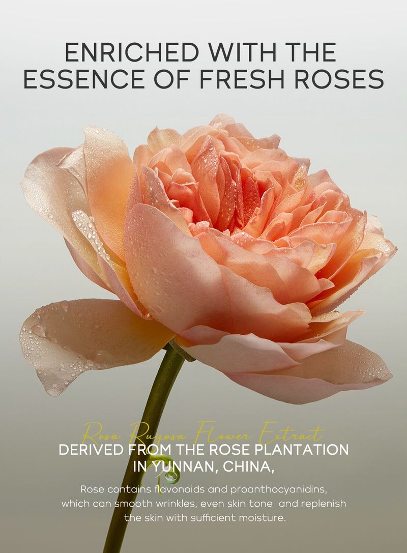 Makeup Tool Kits New Product LAIKOU Hydrating Hand Cream 220ml Hydrating, Moisturizing And Nourishing Hand Skin_voghion.com