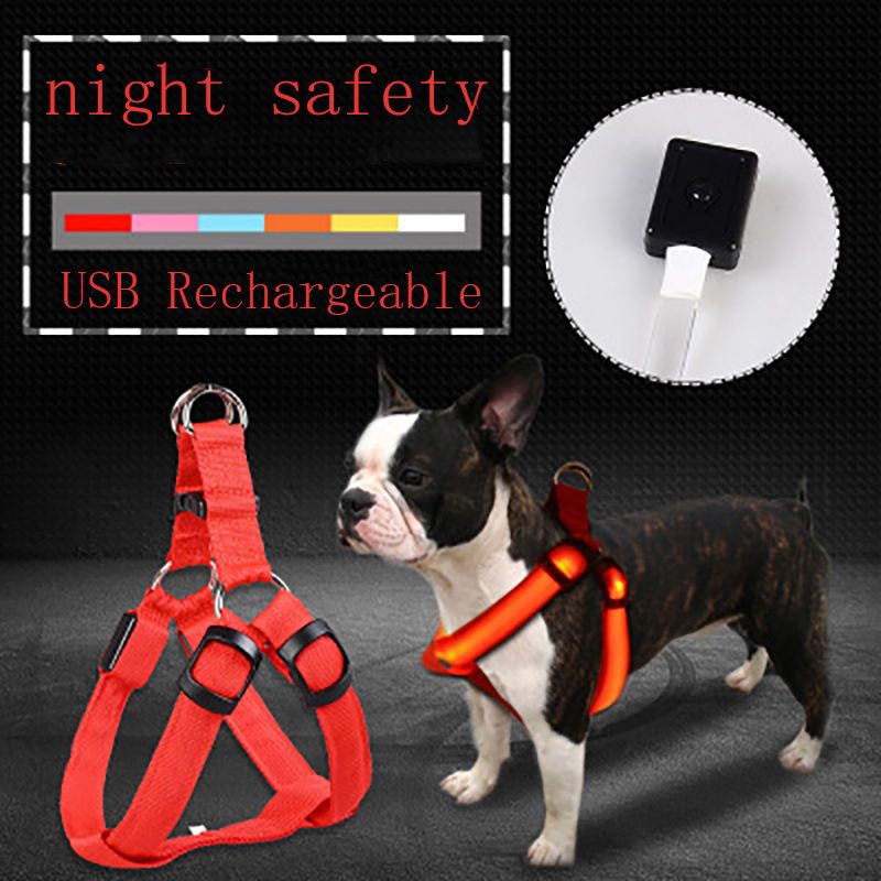Arnés LED para perros KAJIPET (tallas XS-XL) de PawParty Store_voghion.com