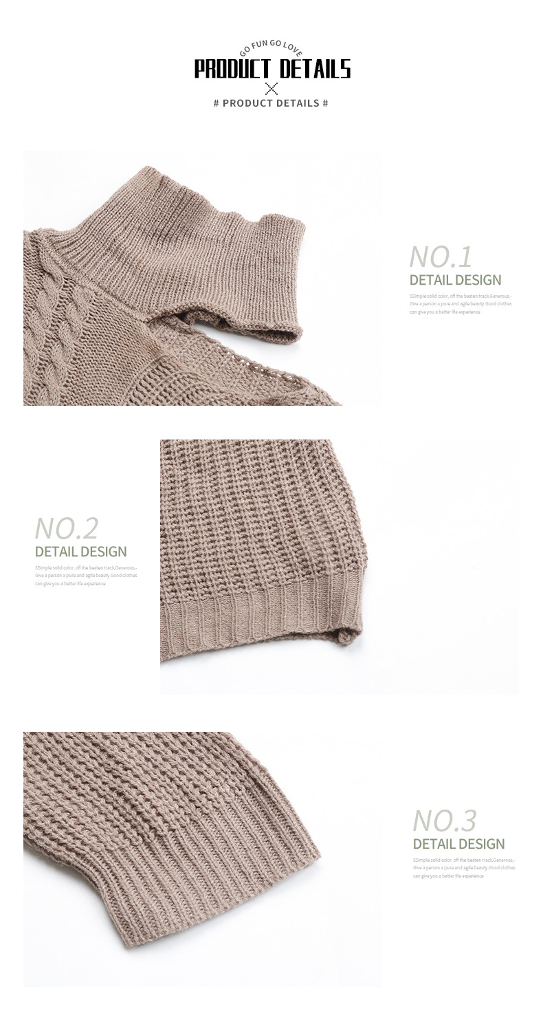 Herbstmode Damen einfarbig Langarm Twist Rollkragenpullover locker_voghion.com