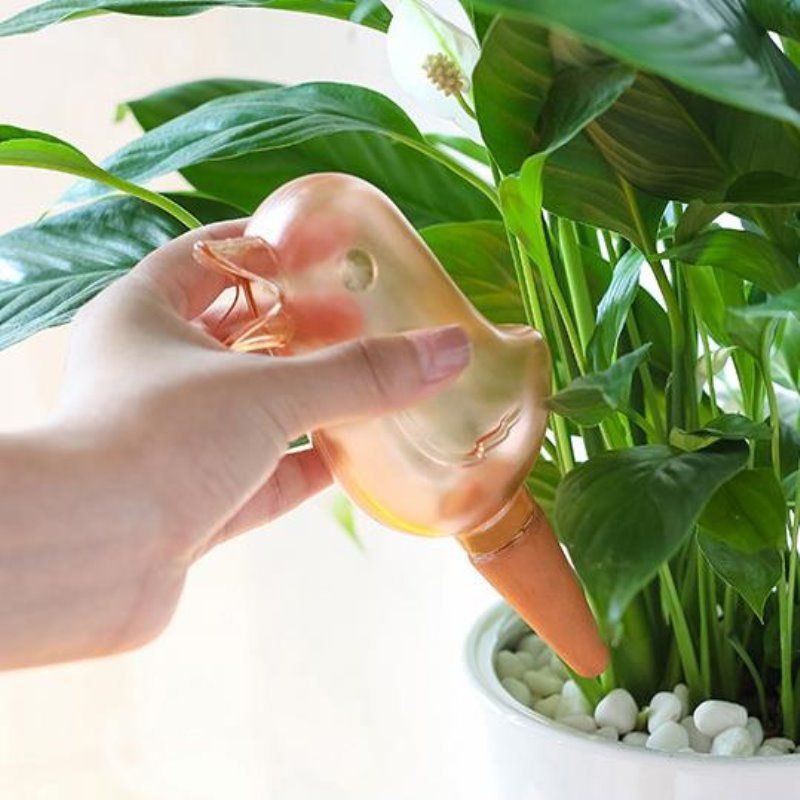 Korean-style Transparent Automatic Dripper Petal Flower Pot Automatic Watering Water Pot Bird-shaped Plant Lazy Flower Watering Kettle_voghion.com