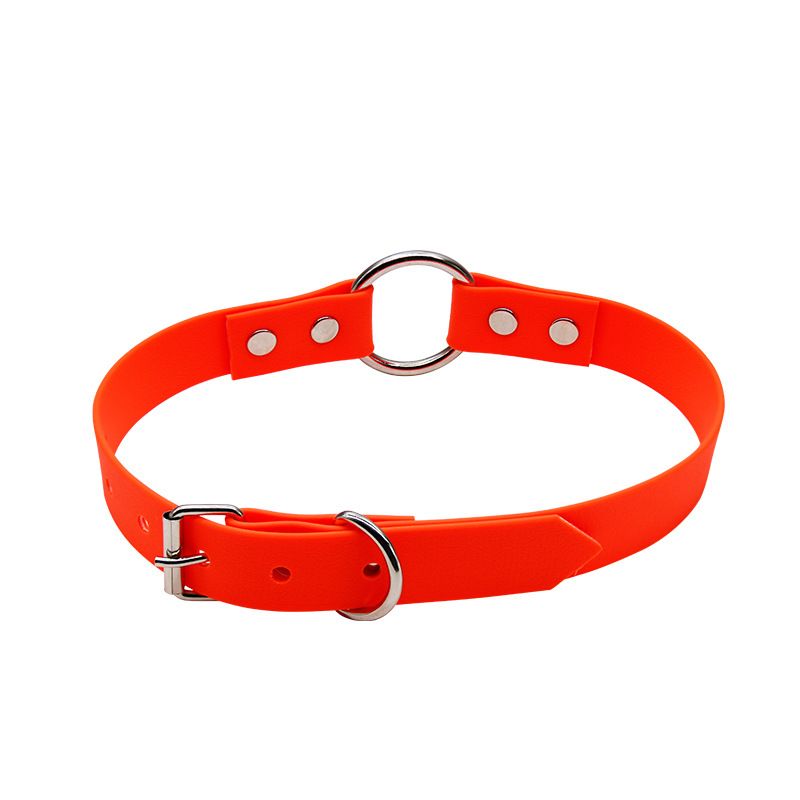 Collare per cani con catena ad anello per collo, impermeabile e resistente all'usura, rivestito in gomma per animali domestici in PVC_voghion.com
