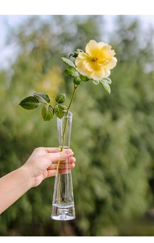 【 46000 People Collected 】 Juhan Nordic Ins High Beauty Arrangement Water Nourishing Small Vase Glass Transparent_voghion.com