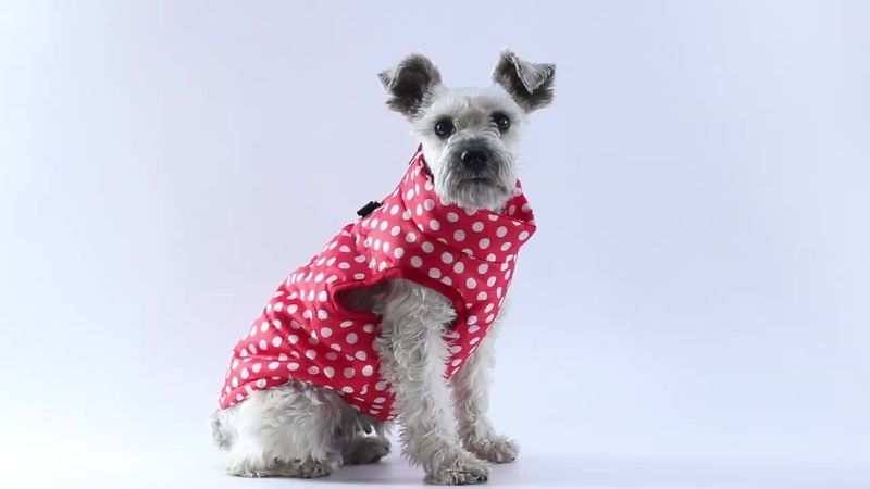 Waterproof Insulated Vest CDDMPET For Dogs By PawParty Store_voghion.com