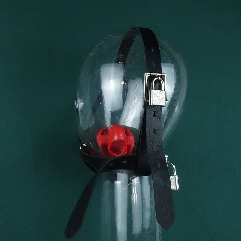 Tipo di parola singola, abbassalingua, imbracatura per cavalli, apertura forzata invisibile, bavaglio a sfera, accessori SM_voghion.com