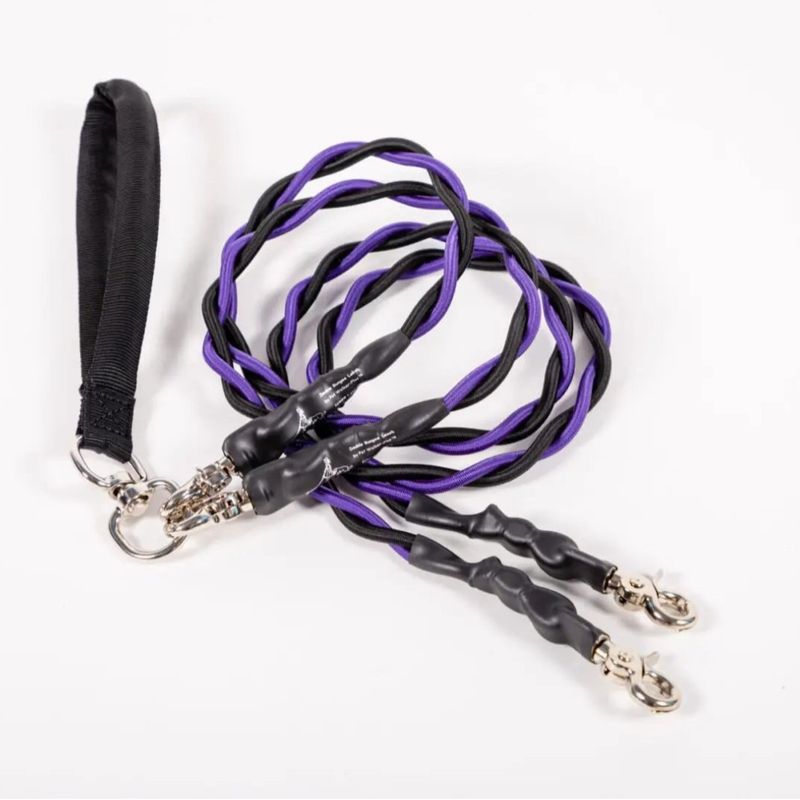 Neue Bungee Creative Doppelte Elastische Hundeleine_voghion.com