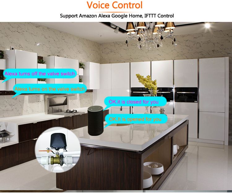 Woa Tuya Wifi Smart Manipulator Vae Controller Bluetooth For Water Gas Auto Shut ON Off With Alexa Google Home_voghion.com