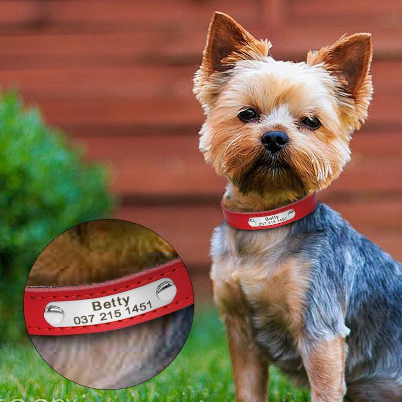 Coleira personalizada para cães e gatos, ajustável, de cristal, anti-perda, de couro, para filhotes e gatos, com gravata borboleta e acessórios de strass_voghion.com
