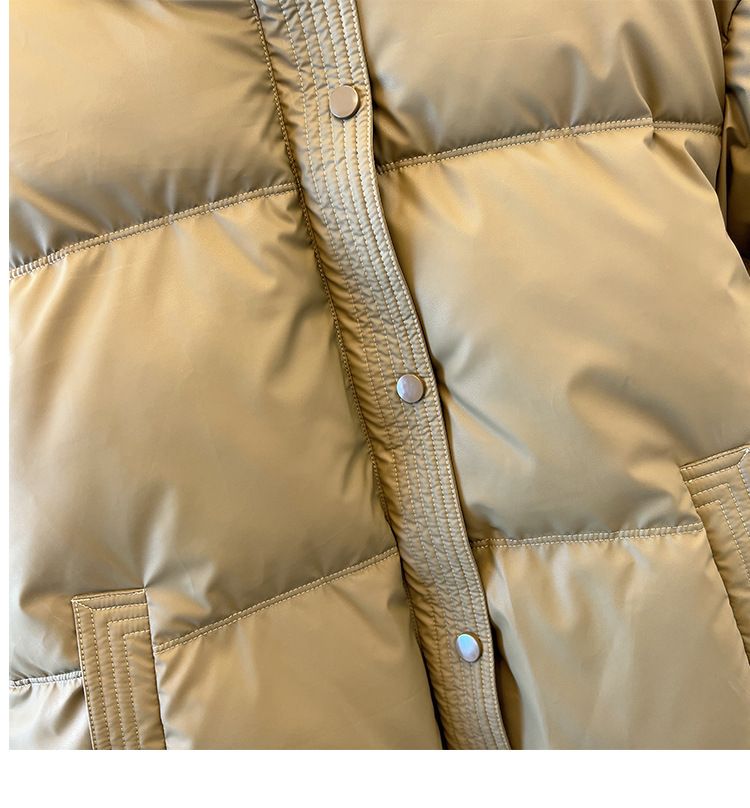 Dameskleding Koreaanse versie korte opstaande kraag kleine winterjassen katoenen jas voor dames eenvoudige losse versie rits pufferjack effen kleur_voghion.com