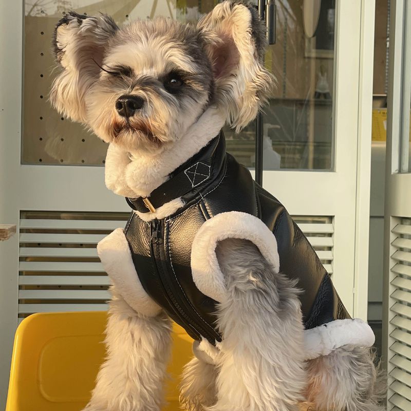 Hundekleidung Herbst Winter Neue Fleece Ärmellose Weste Für Teddy Schnauzer Bichon Malteser Trendy_voghion.com