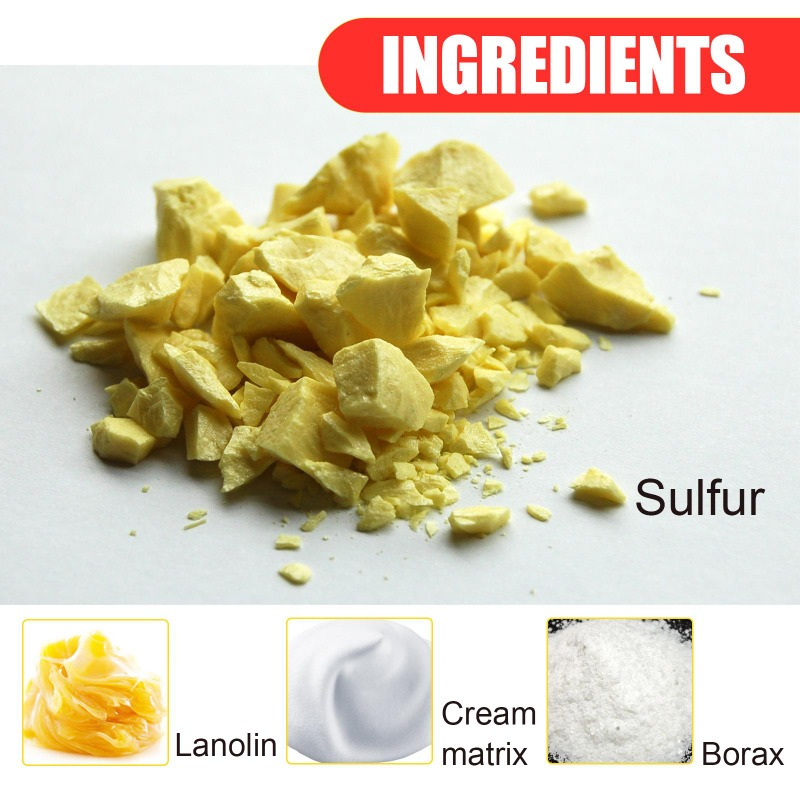 Sulfur Shampoo 50g Remove Lice Mites Dandruff Itching Oil Cleaning Scalp Deep Hair Antipruritic Follicles Cleaning_voghion.com