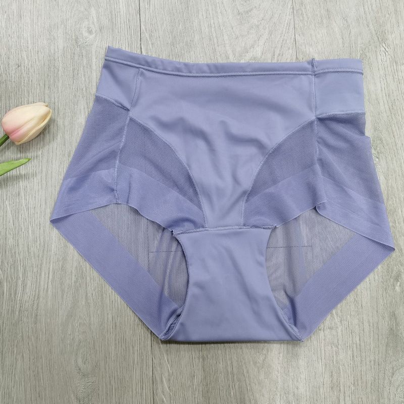 2025d Mid-Waist Transparent Mesh Triangle Panties High Elastic Comfortable Ice Silk Women's Underwear Plus Size Sexy_voghion.com