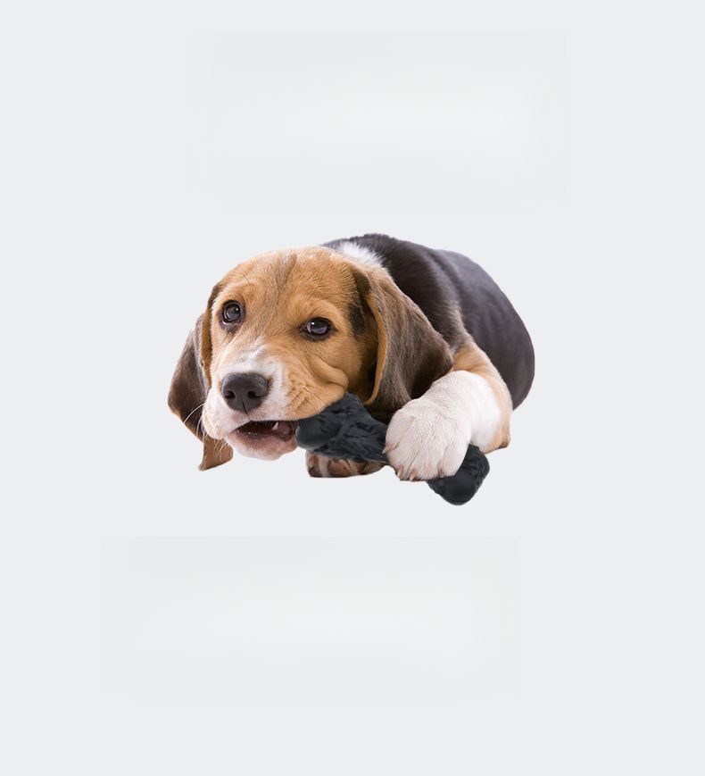 Pet Rubber Realistic Big Bone Teeth Grinding Durable Chew Dog Toy_voghion.com