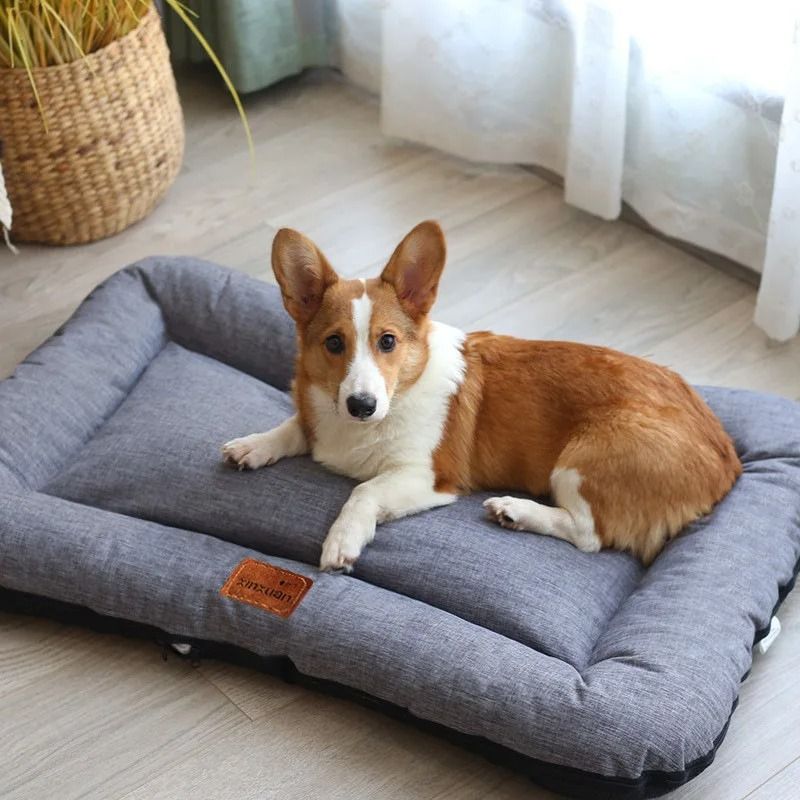 Dogs Bedd Sofa Bed Dog Big Plush Pet Goods For Animals Beds Small Bedding Products House Indoor Accessories Petty Kennels Large_voghion.com