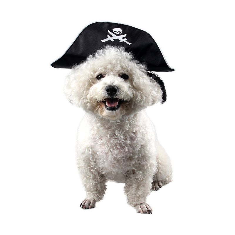 Pet Supplies Halloween Party Performance Costume Spring And Autumn 3D Wig Pirate Cat Hat_voghion.com