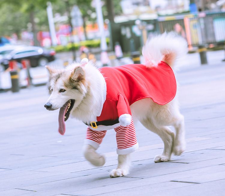 Weihnachten Große hund Katze Santa Claus kleidung hund heimtierbedarf pelzigen lustige zwei füße goldene haar transformation_voghion.com