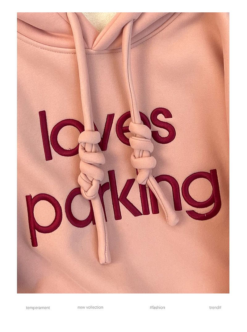 Women's Clothing plush sweatshirt with embroidered flowers for autumn and winter warm tops, thickened and loose large size women's hooded sweatshirt_voghion.com