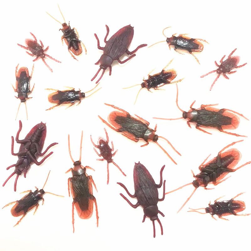 ToysMall 20Pcs/Set Roaches Novelty Real-looking Long Lasting Favorite Trick Joke Cockroaches Toys for Halloween_voghion.com