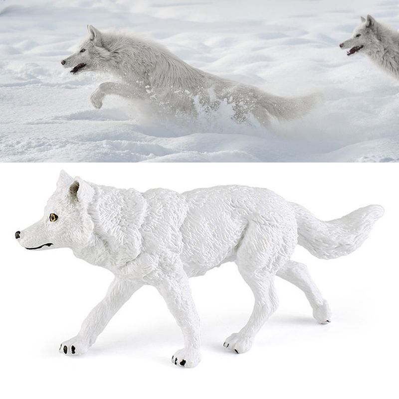 Arctic Wolf Model Various Realistic White Wolf Static Model Ornament Plastic Wild Animal Figurine Mini TV Table Decor Kids Educational Toy_voghion.com