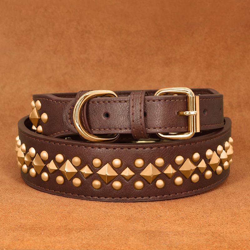 Didog XL Padded Leather Dog Collar_voghion.com