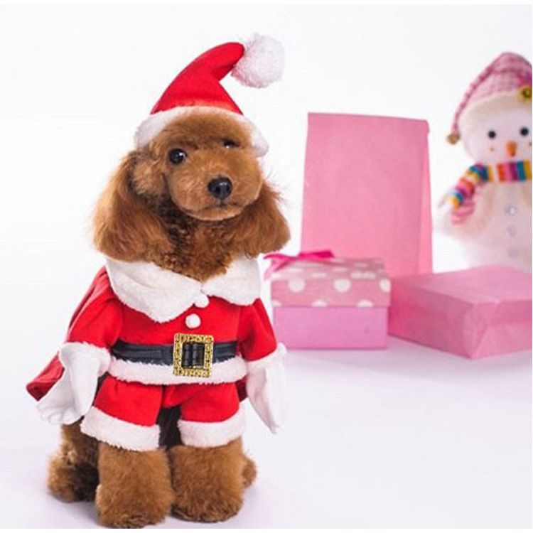 Costume japonais 3D transformé en costume de Noël pour chien_voghion.com