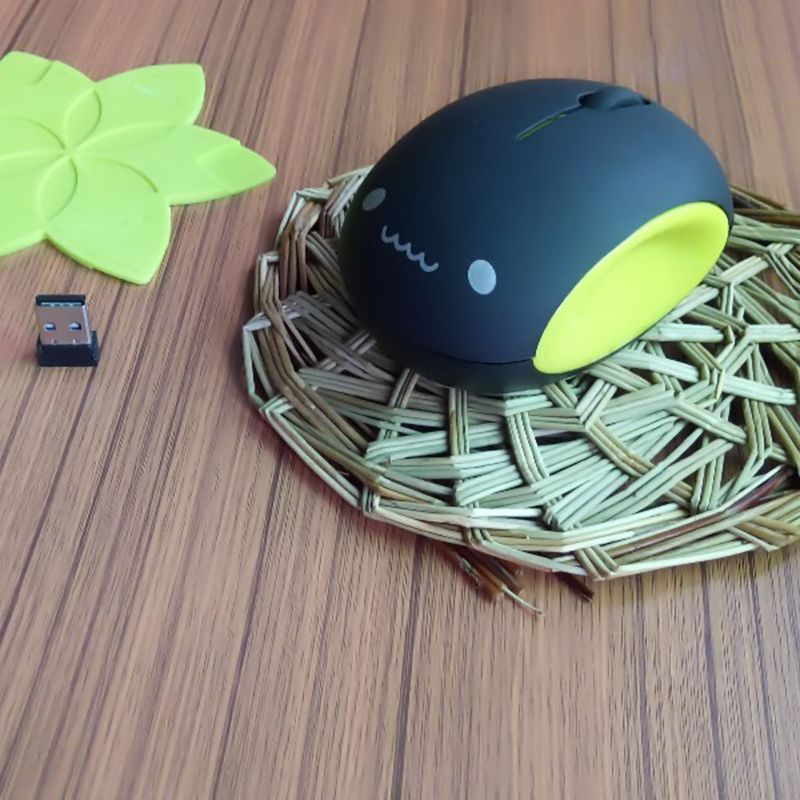 Xinweiqing 1200DPI 3 Buttons USB 2.0 Rechargeable Cute Pattern Wireless Mouse for Computer_voghion.com