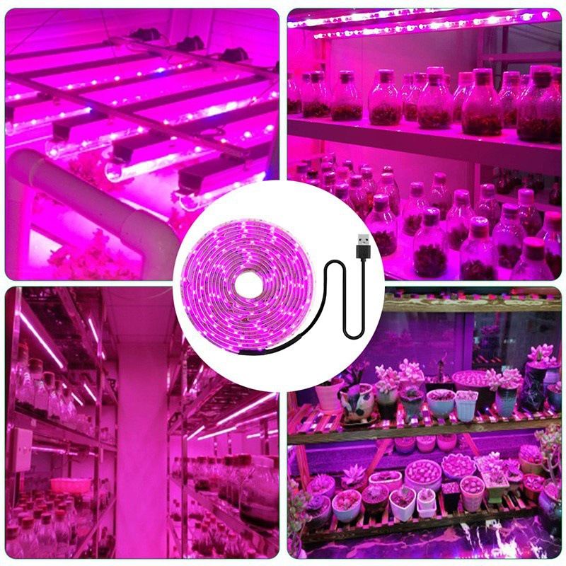 Taśma świetlna USB LED do uprawy roślin doniczkowych, elastyczna lampa o pełnym spektrum z 60 diodami LED, wodoodporna IP20/IP65, opcje długości 1/2/3/4/5 metrów_voghion.com