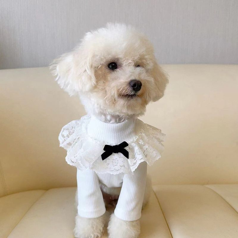 Maglietta calda per cani di piccola taglia, con colletto alto e due zampe, per gatti e animali domestici_voghion.com