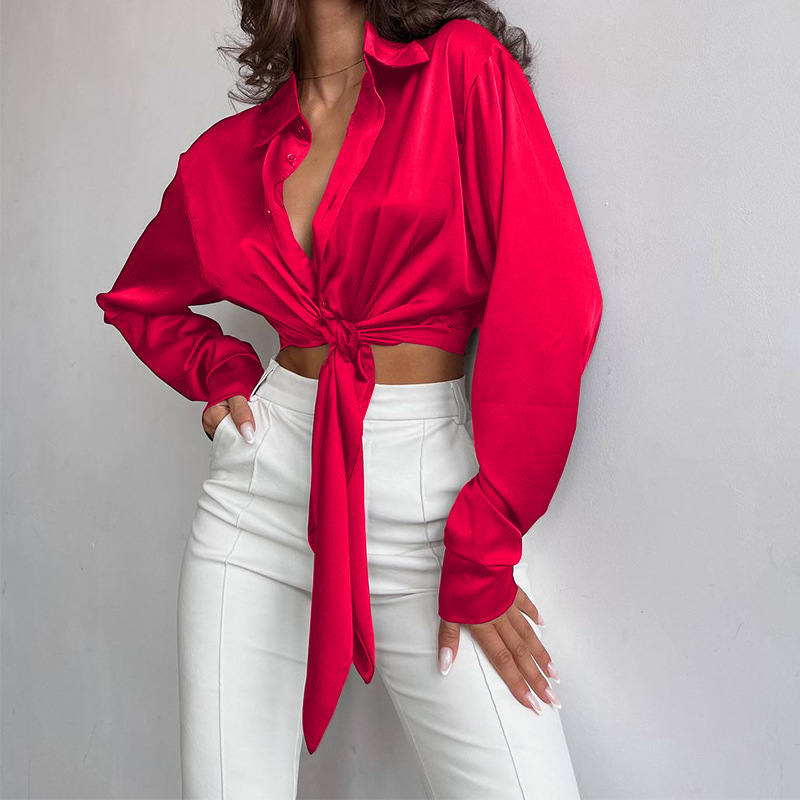 Top da donna a maniche lunghe con collo a polo in raso di seta casual dal temperamento solido_voghion.com