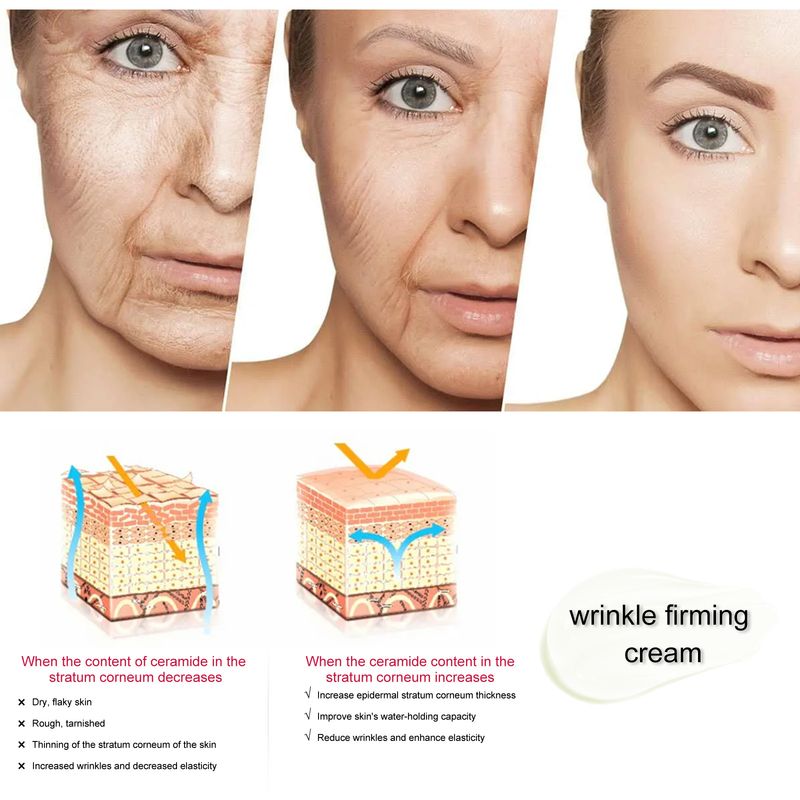 EELHOE Anti Wrinkle Firming Facial Face Cr Moisturizing&Moisturizing&Attenuating Fine Lines Moisturizing Skin Care_voghion.com