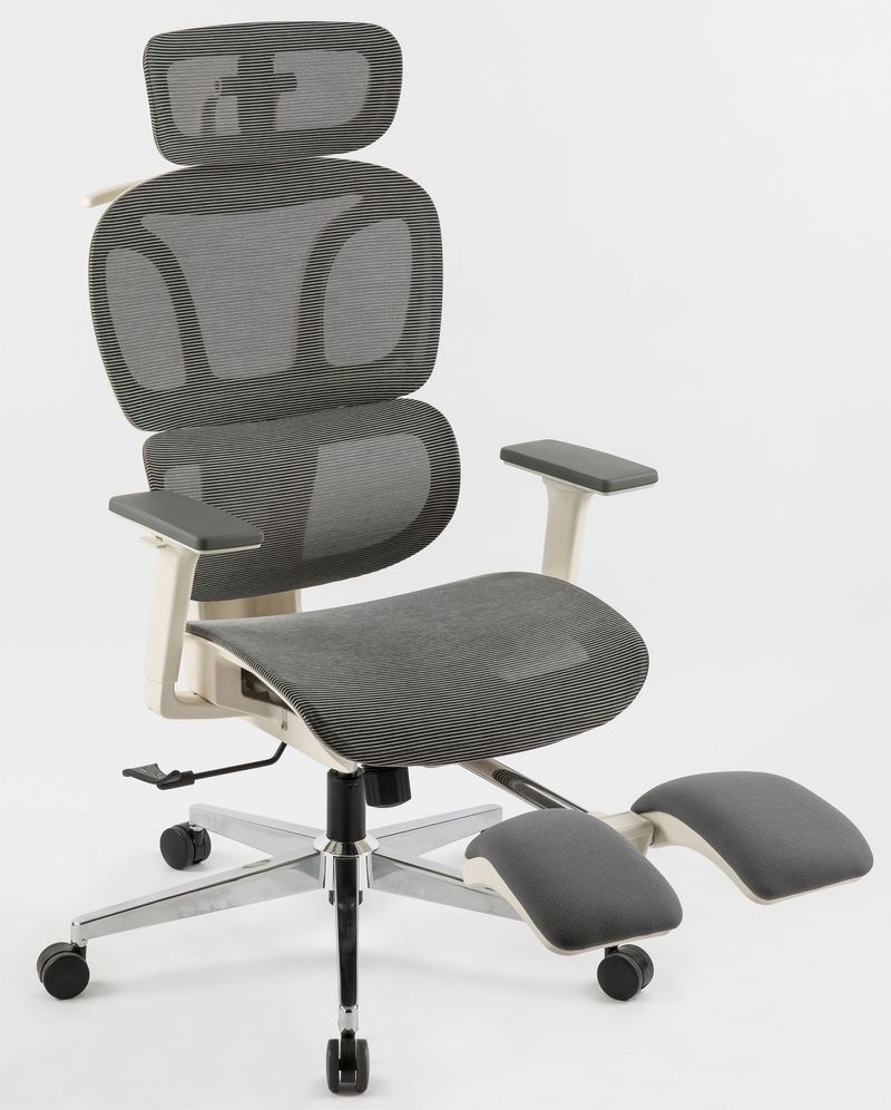 Ergonomic Office Chair With Footrest, High Back Computer Office Chair With Dynamic Lumbar Support, 2D Headrest, 4D Armrest, Sponge Seat, Mesh Home Office Desk Chair For Adults, Grey_voghion.com