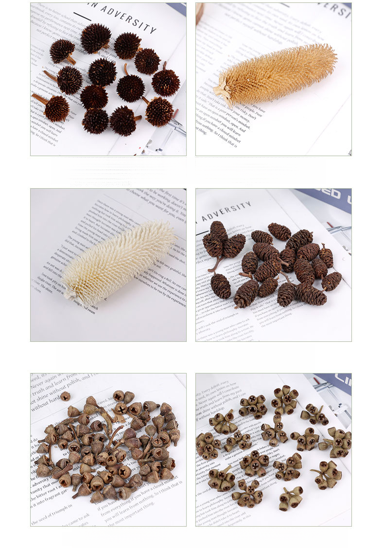 Natural Plant Materials Decorative Ornaments Wreath Handmade Hanging Decor Dried Fruit Combination Set DIY_voghion.com