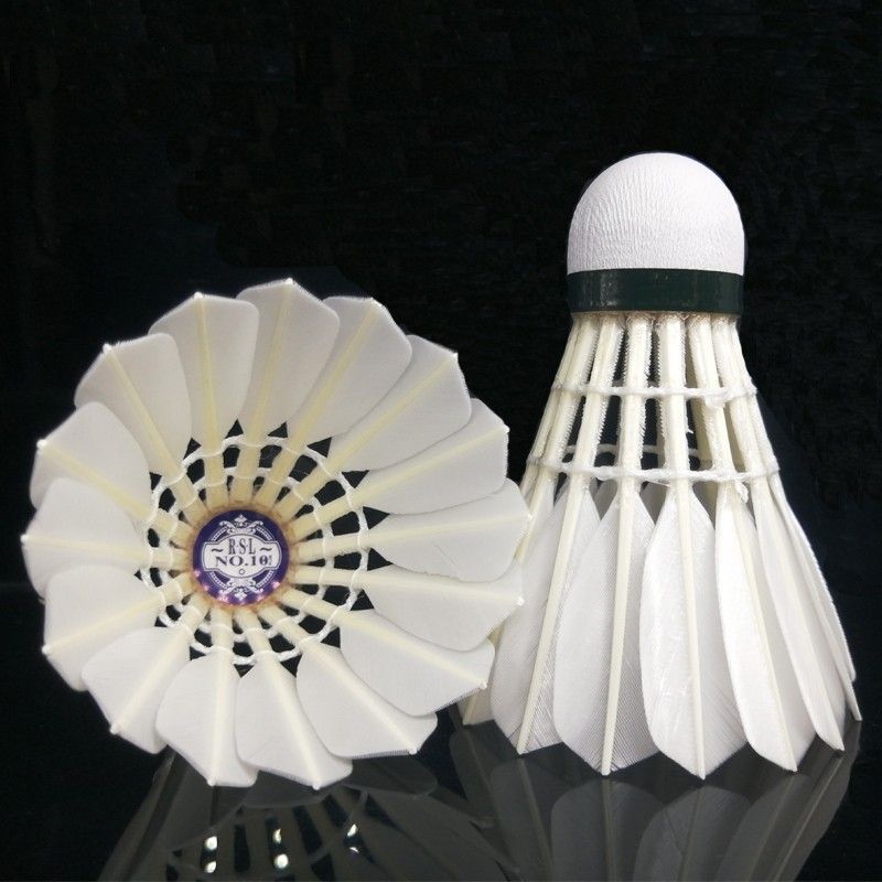 RSL Lion Badminton RSL10PLUS Durable Flight Stability 10 Upgraded Version Asia 10P Single Tube Sale_voghion.com