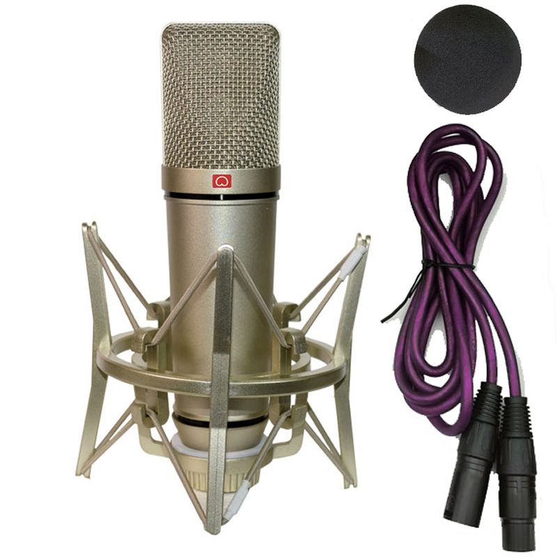 Professional Studio Condenser Microphone PC Computer Laptop Mic Singing Karaoke Streaming Wired Pro Microphone Sound_voghion.com