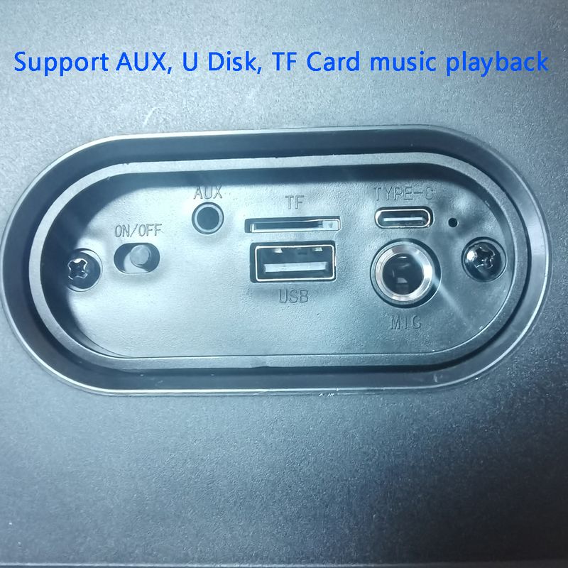 Karaoke Radio FM Bluetooth Speaker Portable Wireless With Microphone Lamp Machine Caixa De Som Sound Box Music Subwoofer LED TWS_voghion.com