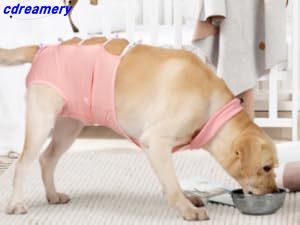 Kirurgiskt set för hund, återhämtningsset för husdjur, kirurgiskt set för hundsterilisering, bandageform, enkla postoperativa kläder, för steriliserade hudåkommor_voghion.com