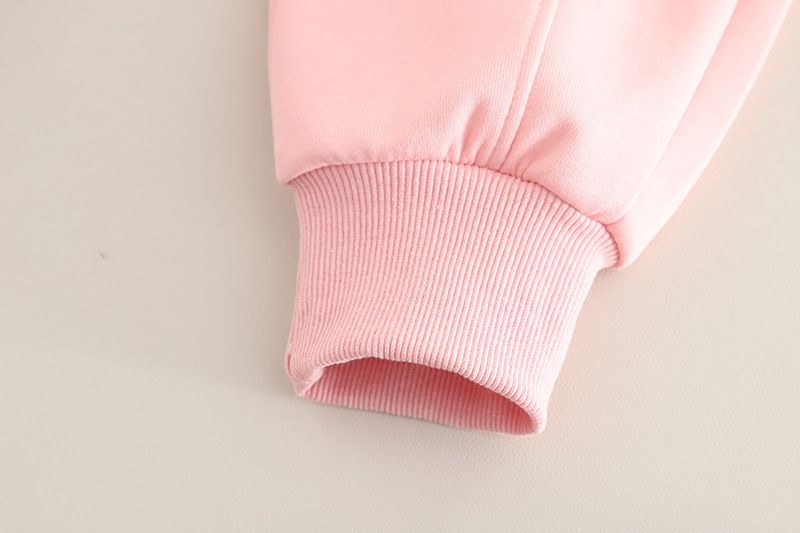 Abbigliamento per bambine primavera 2025, alla moda e versatile. Completo due pezzi con cappuccio a maniche lunghe e motivo cartoon._voghion.com