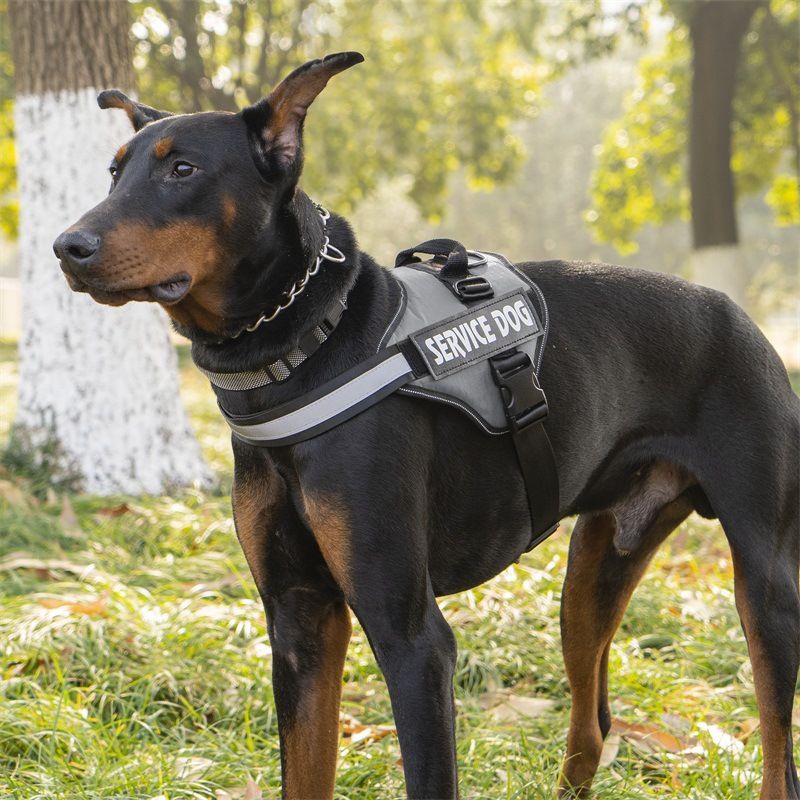 Guinzaglio per cani in pelle PU riflettente con imbracatura anti-groviglio e design retrattile per cani_voghion.com
