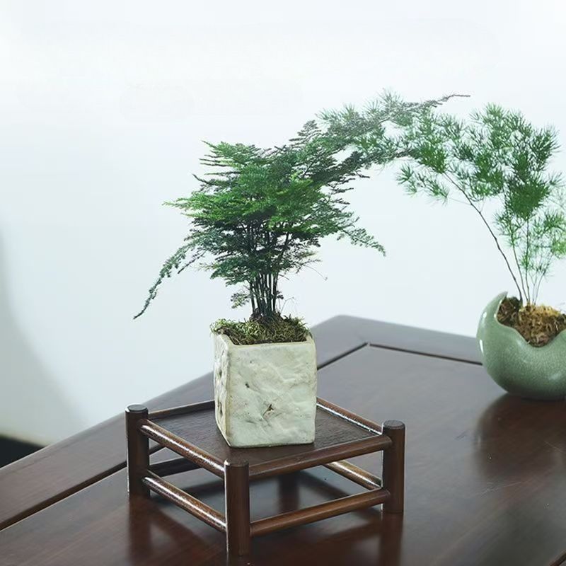 Waterafvoerende theekophouder, opbergrek, displaystandaard van massief hout, kleine tafel, theetafel, thee-gereiplank_voghion.com