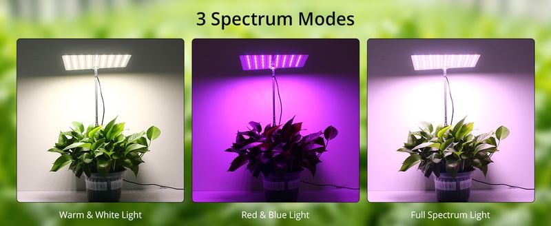 LED Plant Growth Lamp Lifting Full Spectrum Quantum Board Seedling Green Plant Aquarium Succulent Plant Fill Light Factory_voghion.com