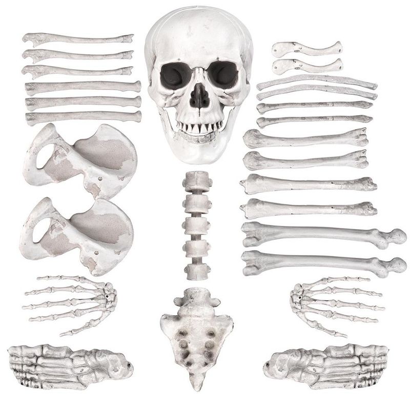 Halloween Skeleton BonesHalloween Skeleton Bones_voghion.com