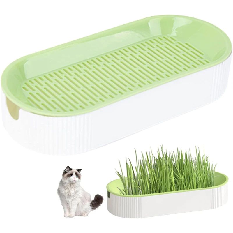 Hydroponische kattengrasbox Kattenlekkernijen Kattenkruid Hydroponische bodemloze planten Kattengras Potset voor eenvoudige groei_voghion.com