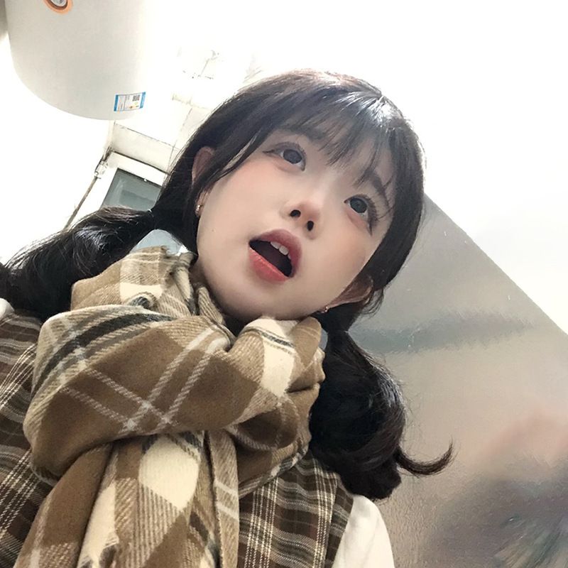 Scarf Women's New Autumn And Winter 2025 New Plaid Warm Scarf High-end Versatile Sweet Student Scarf_voghion.com