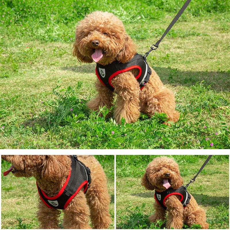 Breathable Mesh Harness With Leash Puppies, Reflective Summer Chest Vest For Pets, Cats, Chihuahuas, Yorkies By PawParty Store_voghion.com
