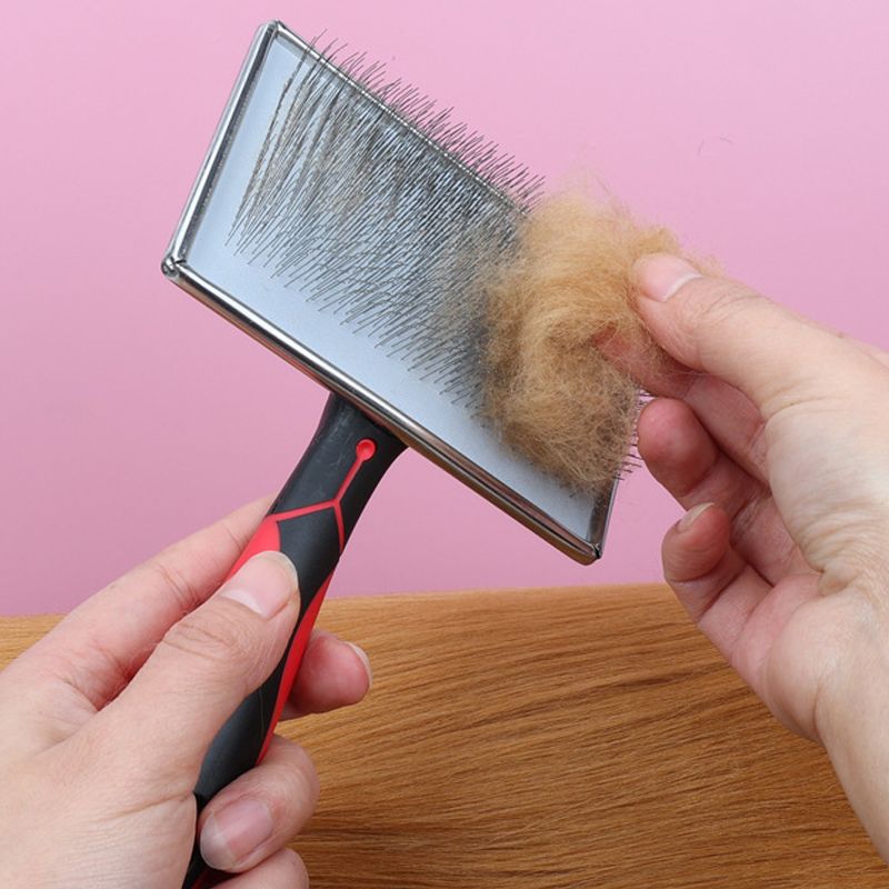 Peine de acero para perros y gatos de PawParty Store_voghion.com